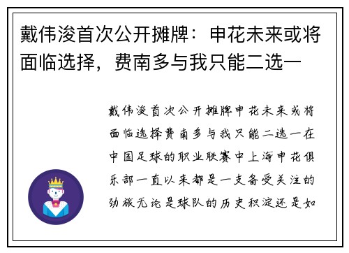 戴伟浚首次公开摊牌：申花未来或将面临选择，费南多与我只能二选一