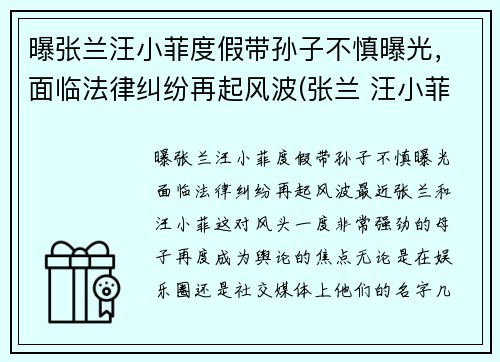 曝张兰汪小菲度假带孙子不慎曝光，面临法律纠纷再起风波(张兰 汪小菲)